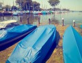 6e1a93a147f5abeacced3b26a5e3